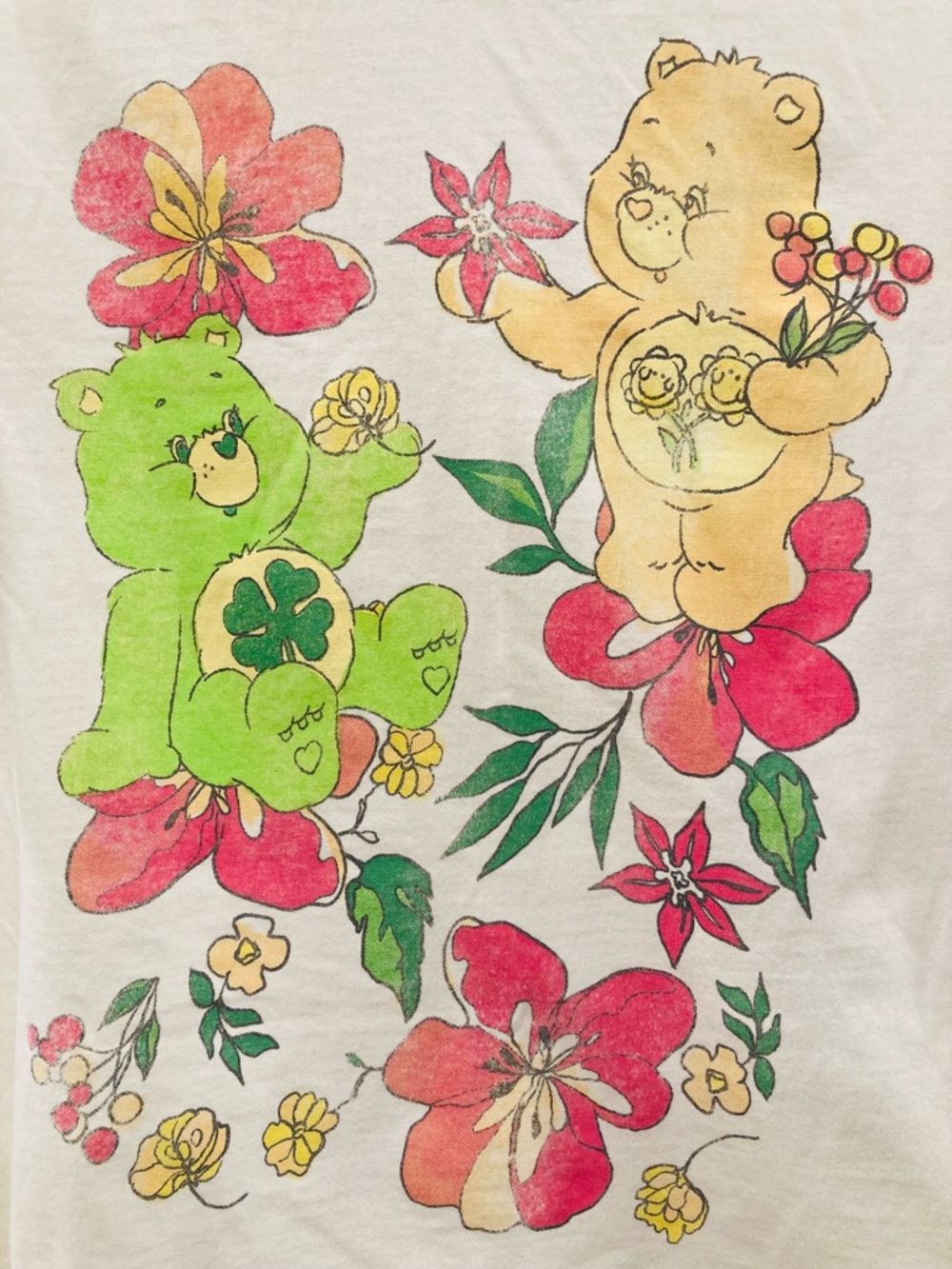 Care Bears Graphic T-Shirt with Bear and Floral Print | S